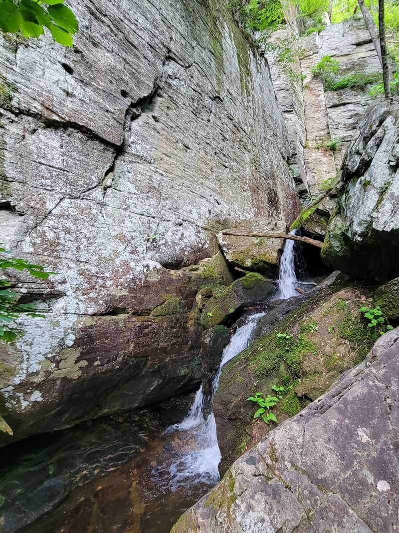 Raven Cliff Falls Trail