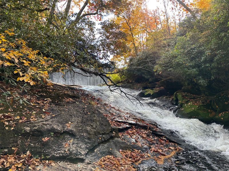 Discover North Carolina's Hidden Waterfall Paradise - Decor Hint Secret Path To Paradise