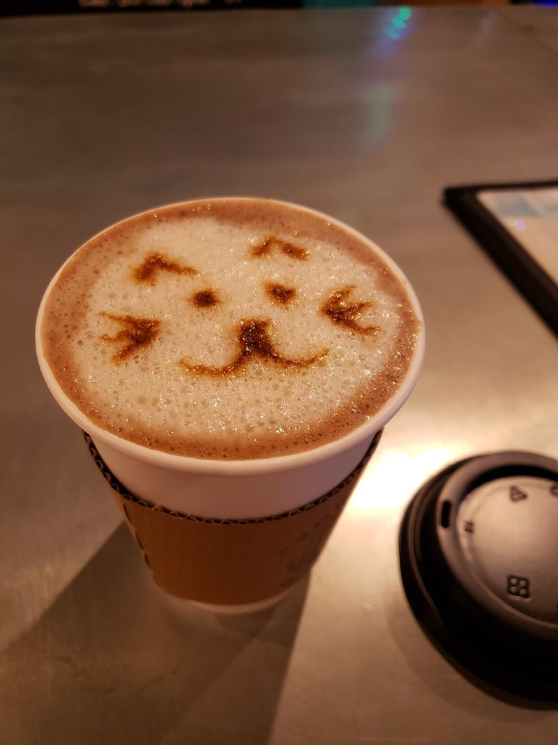 This North Carolina Rescue Cat Café Is Purr-fection In Every Sip And Snuggle - Decor Hint 100% Plant-Based Menu Delights