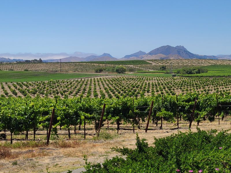 16 Surprisingly Affordable California Getaways That Feel Like Pure Luxury - Decor Hint San Luis Obispo