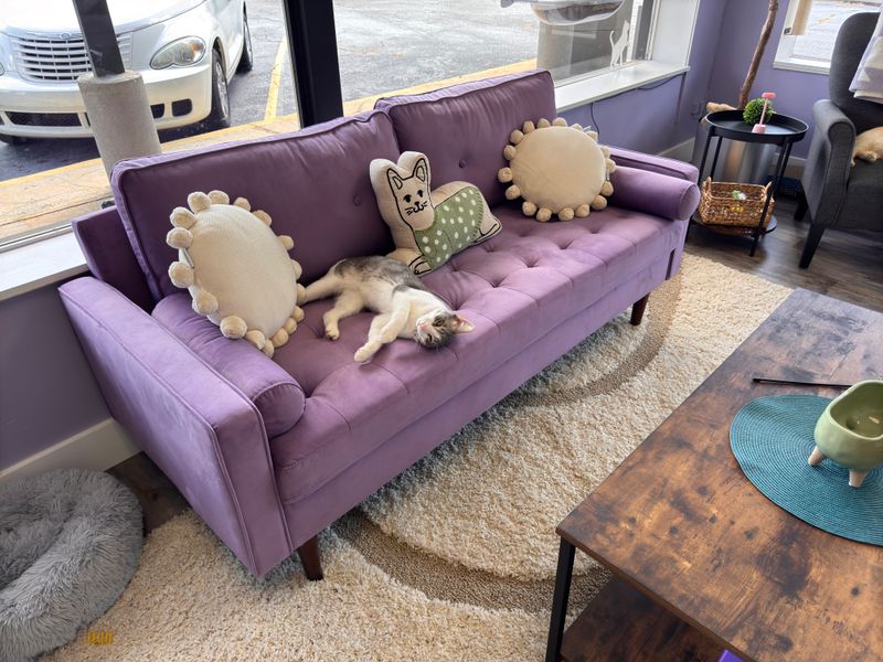 Where Every Visit Feels Personal