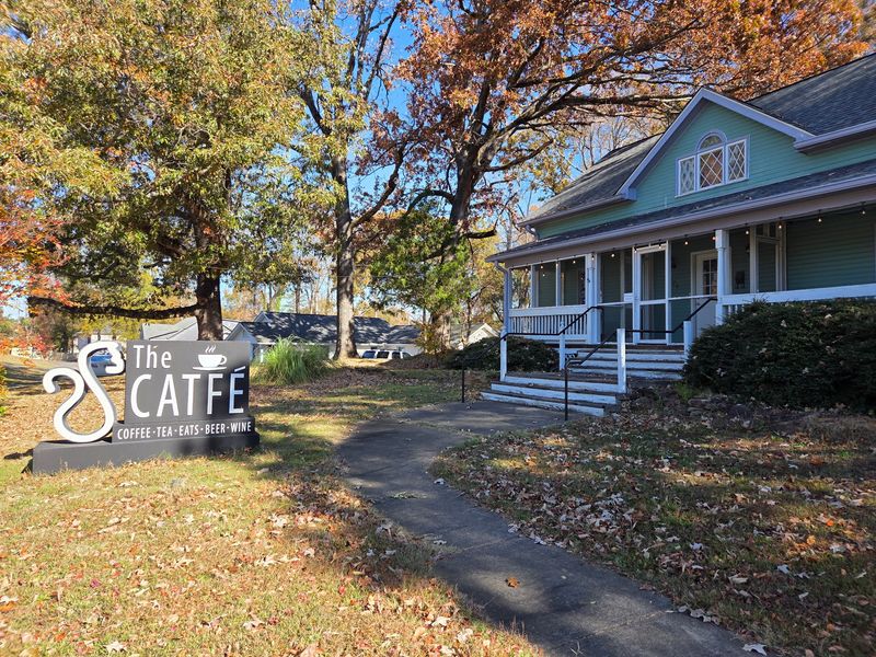 15 Feel-Good Cafés Across Georgia Where Cozy Vibes And Kittens Steal The Show - Decor Hint The Catfe