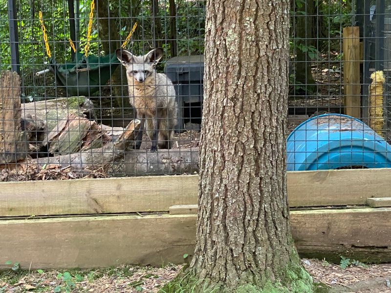 Photography Opportunities Everywhere