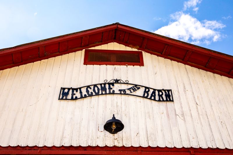 Week Long Equestrian Camps For Young Riders