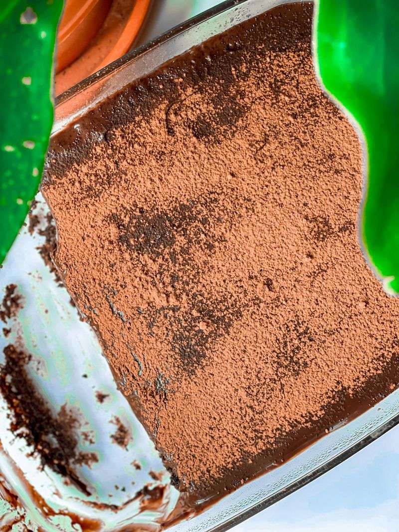 This Hidden Italian Restaurant In Georgia Has Locals Talking 15 Things That Set FraLi Gourmet Apart - Decor Hint Homemade Tiramisu That Takes Two Days to Prepare