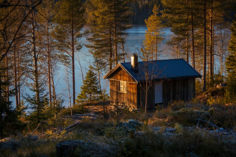 Lakefront Timber Haven