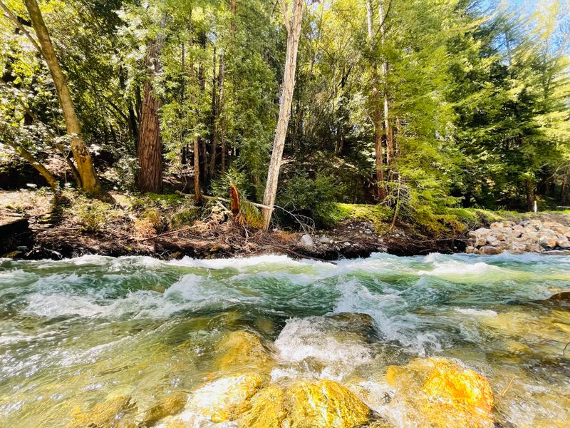 This Underrated California Park Feels Like A Mini National Park With Towering Ancient Redwoods - Decor Hint Big Sur River Gorge