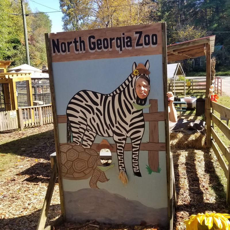 Seasonal Special Events