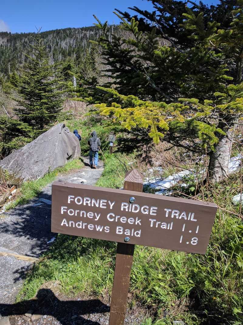 Hydration And Nutrition Needs