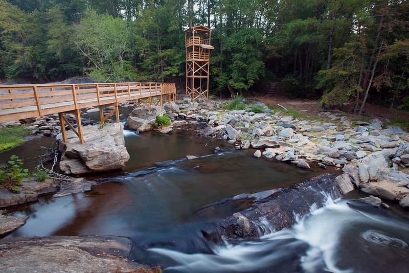 Swimming and Creek Play