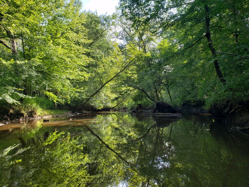 Wildlife Encounters That Surprise And Delight