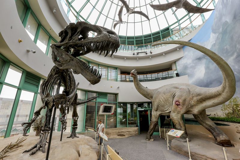 12 Epic Day Trips To Explore In North Carolina - Decor Hint North Carolina Museum of Natural Sciences