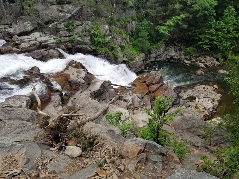 Jacks River Falls Trail