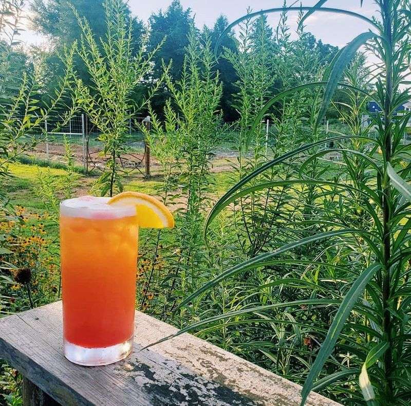 Farm-To-Table Dining