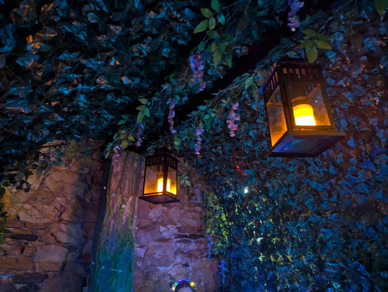 Dining As Storytelling And Escape