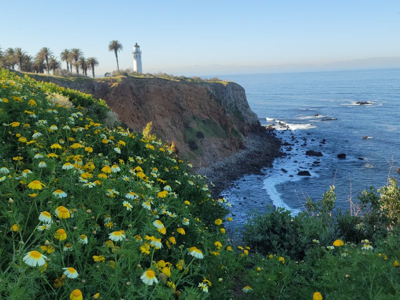 Exploring California's Most Famous Road Trip? These 13 Stops Make The Journey Legendary - Decor Hint Palos Verdes Peninsula
