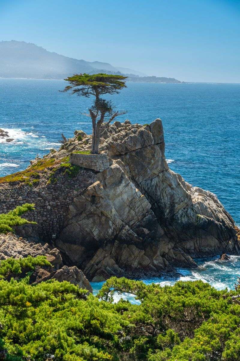 Monterey Peninsula 17-Mile Drive