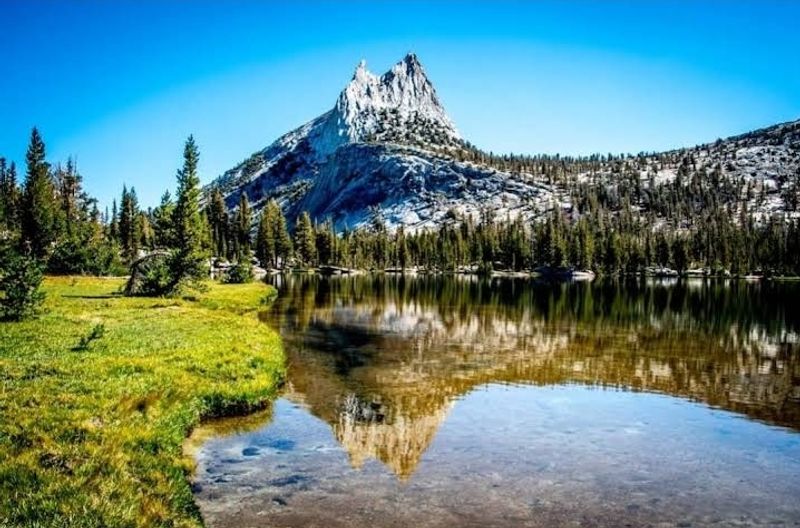 Yosemite Crowned California's No. 1 Travel Destination In New National Survey - Decor Hint California Residents Dominate Visitor Origins