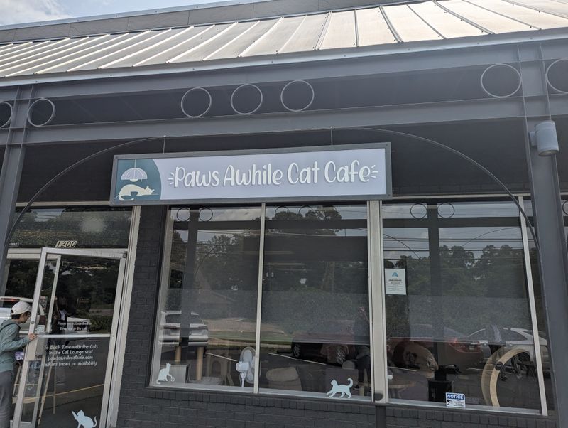15 Feel-Good Cafés Across Georgia Where Cozy Vibes And Kittens Steal The Show - Decor Hint Paws Awhile Cat Café