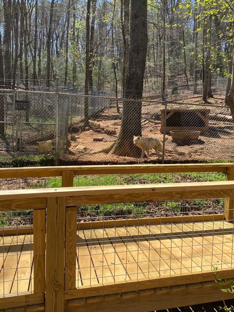 Scenic Mountain Setting