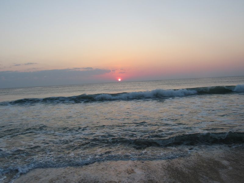 Surfing And Bodyboarding Waves