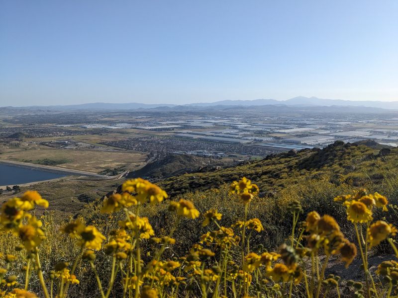 Trails Around The Lake