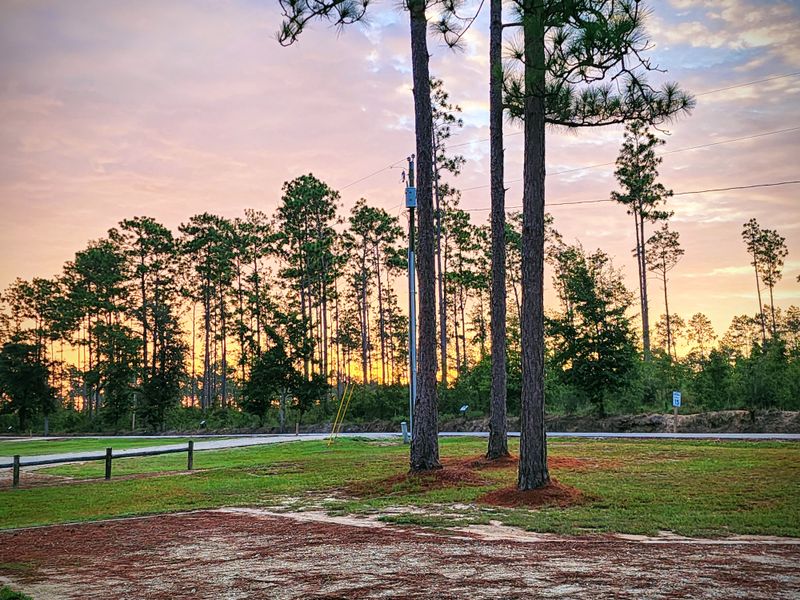My Go To Park In Georgia For Wildlife Viewing Is Seminole State Park And This Is 15 Reasons Why It's So Special - Decor Hint Abundant Turtle Sightings