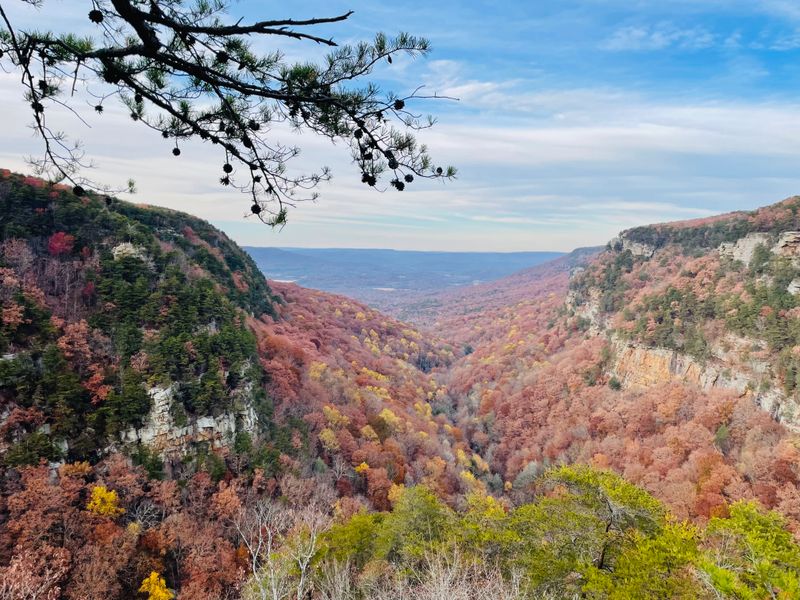 Georgia State Parks That Deliver National Park Scenery Without The Chaos - Decor Hint Cloudland Canyon State Park