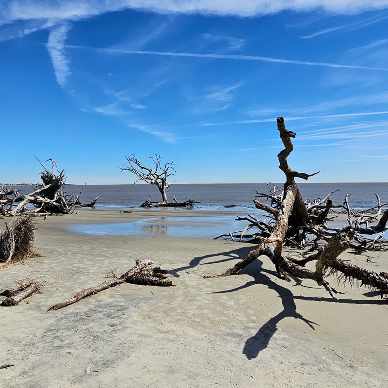 Jekyll Island Coastal Loop in Storm Season