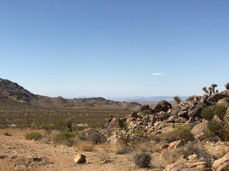 Desert Climate Offers Year-Round Sunshine