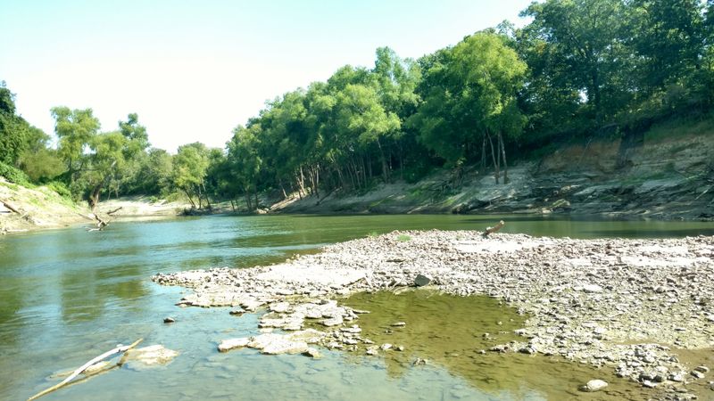 National Forest Campgrounds Offer Front-Row Seats To Nature