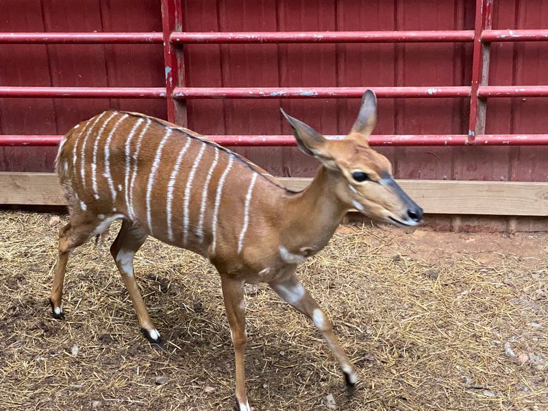 Knowledgeable And Passionate Staff