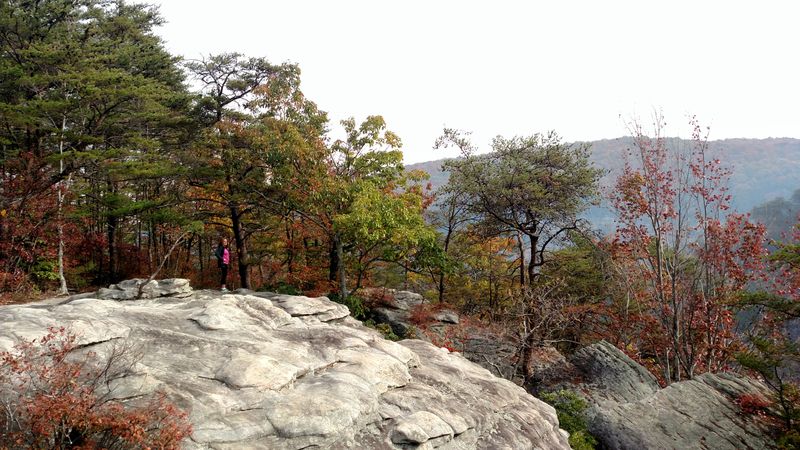 Cloudland Canyon Rim Trail