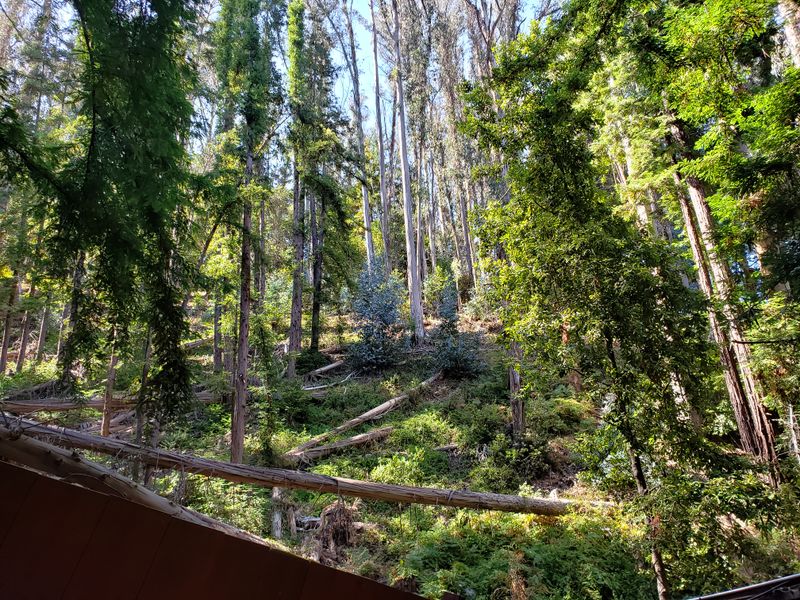 Forty-Five Minute Guided Tours Showcase Mind-Bending Demonstrations