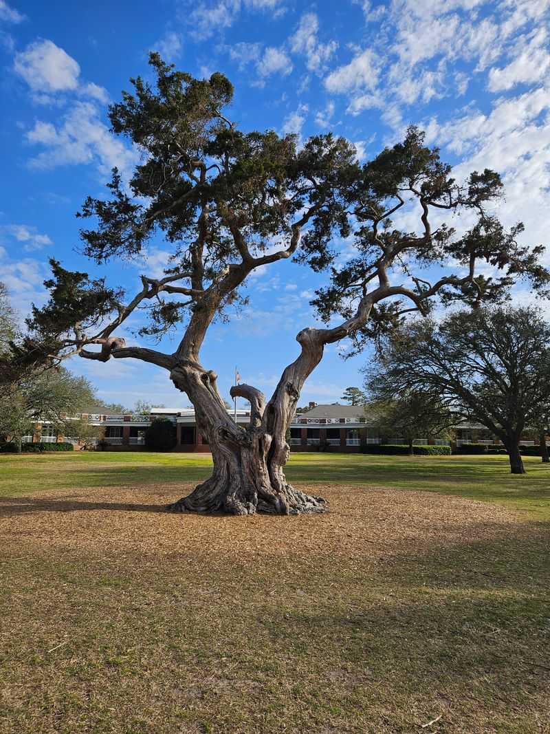 Visit the Maritime Center at the Historic Coast Guard Station