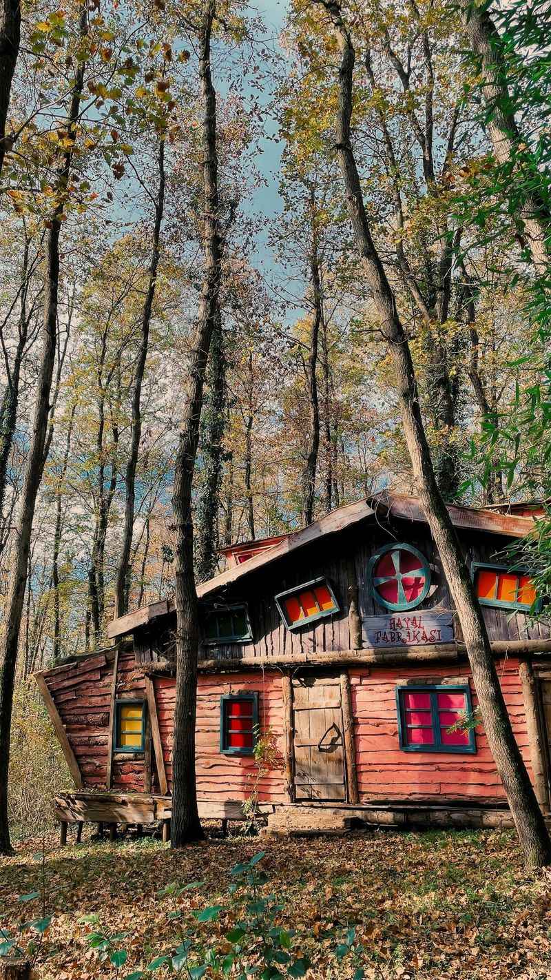 Woodland Sanctuary Cabin