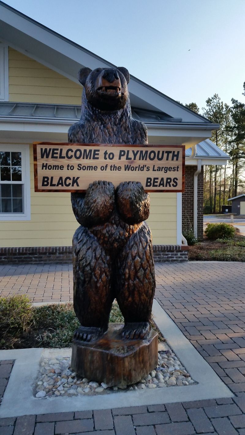 National Black Bear Festival Celebrates Wildlife Every June