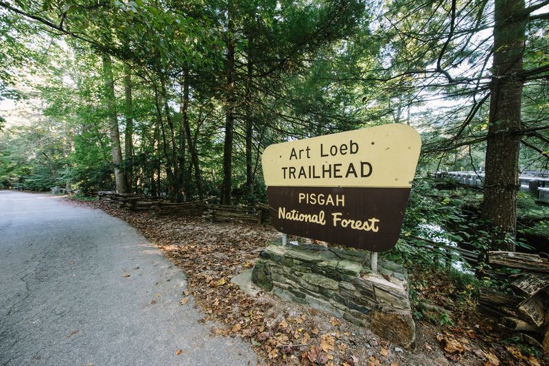 Discover The Best Of North Carolina's Smoky Mountains - Decor Hint Art Loeb Trail: A Backcountry Challenge Worth Taking