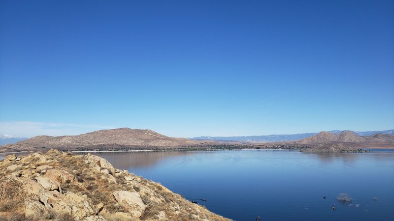 Wildlife Throughout The Park