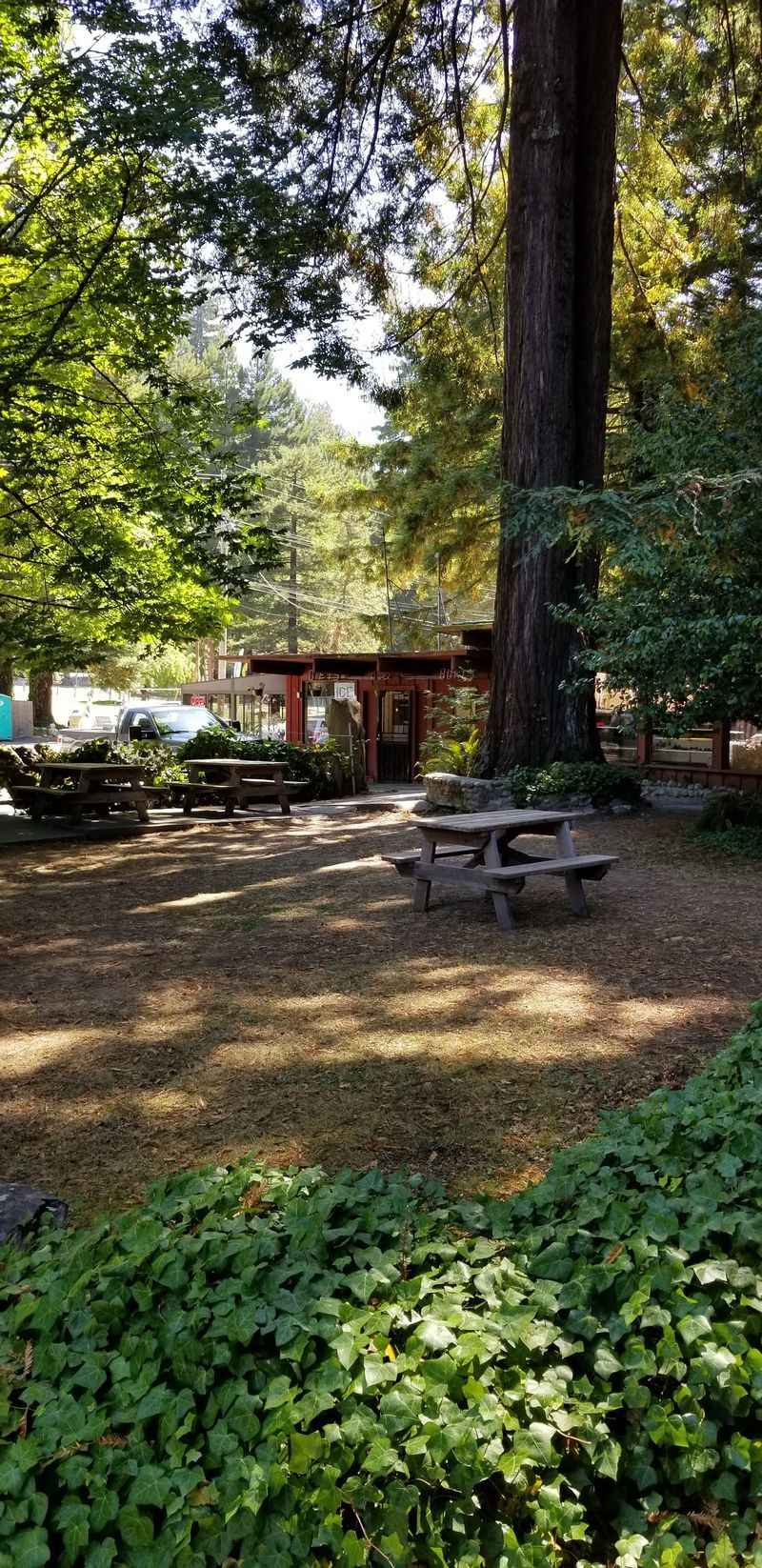 This 31-Mile California Drive Feels Like A Journey Through A Storybook - Decor Hint Eternal Tree House In Scotia