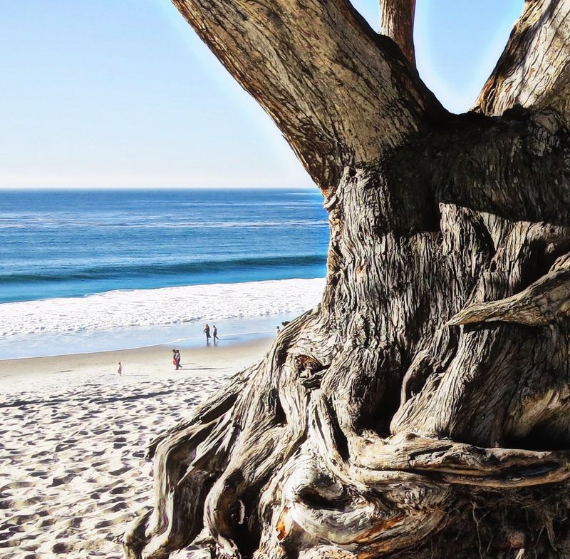 Big Sur: California's Most Scenic Coastal Stretch