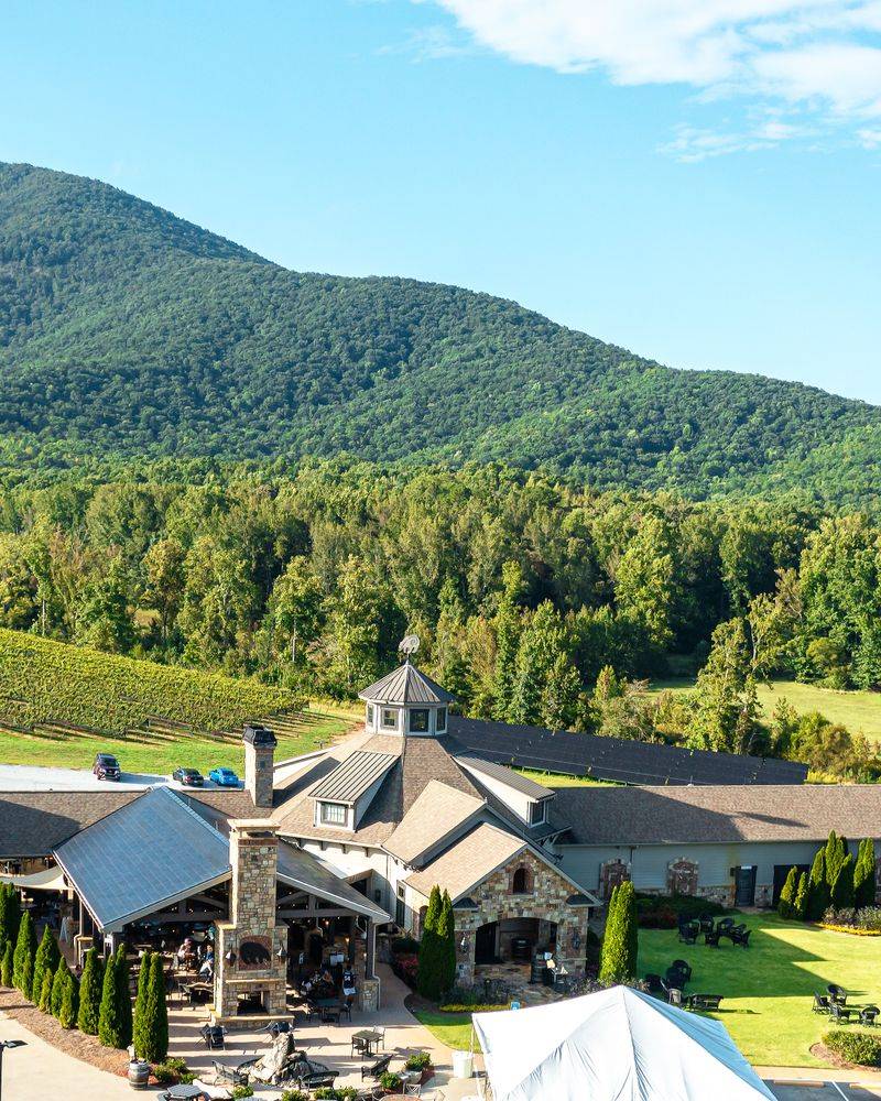 14 Georgia Experiences That Would Make The Perfect Present - Decor Hint Wine Tasting in North Georgia Mountains