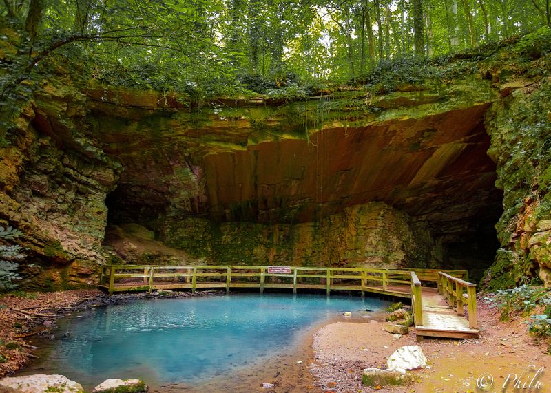 Nature Center And Educational Programs