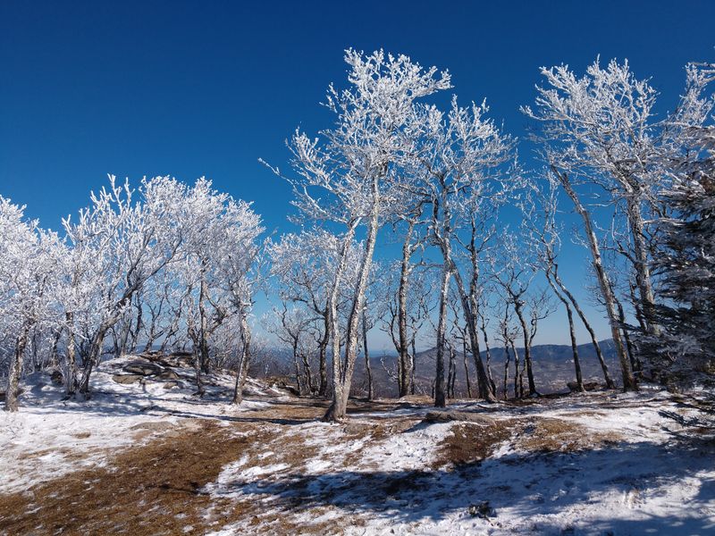 Emerald Outback Backcountry Trail System
