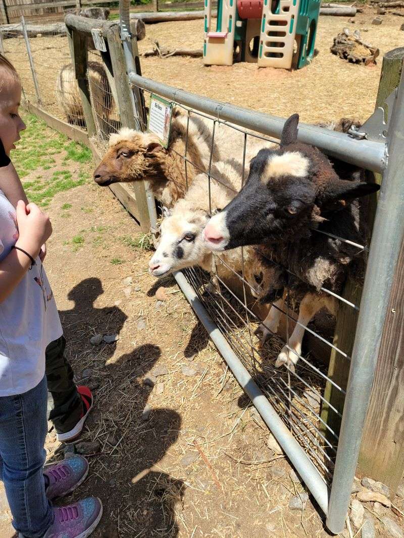 Small Group Tour Options