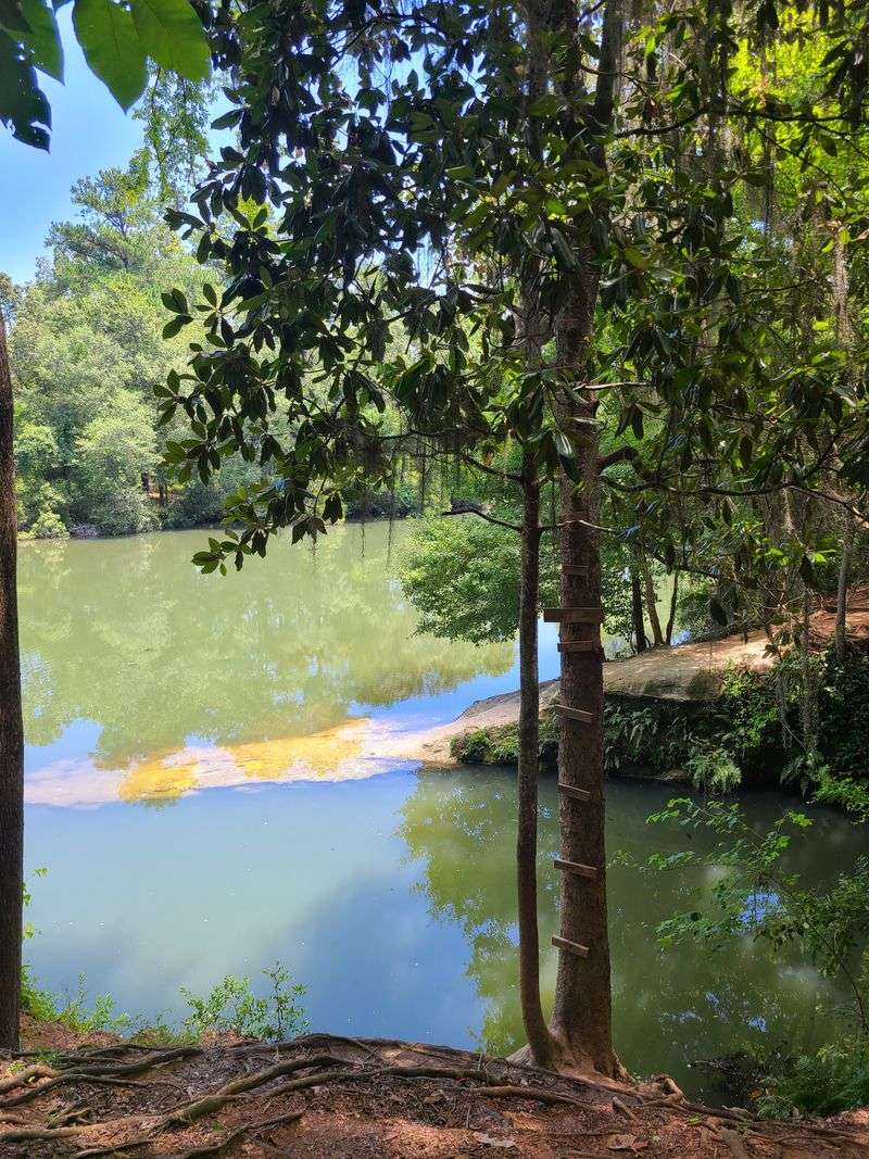 16 Secret Locations In Georgia Even Locals Don't Always Know About - Decor Hint Blue Hole