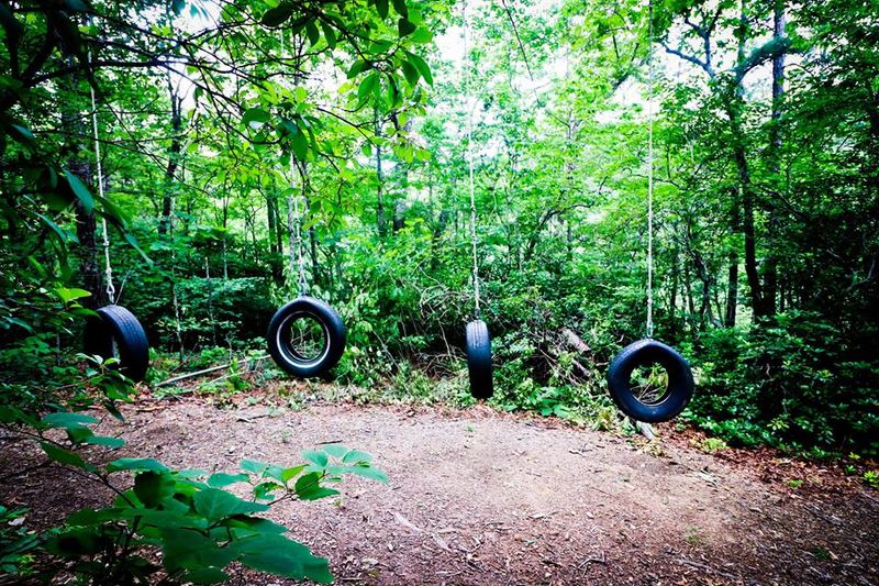 Educational Programs and Summer Camps