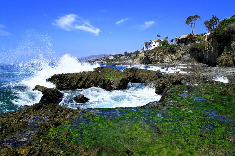 Tide Pools Reveal Marine Wonders