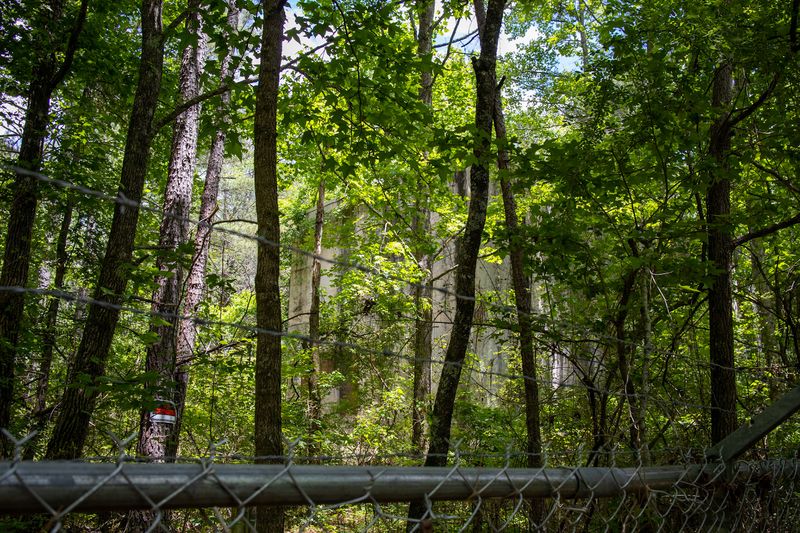 The Plant's Connection to Major Historical Events