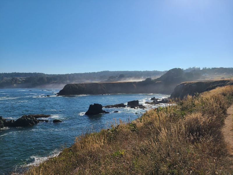 Pacific Coast Highway Through Mendocino